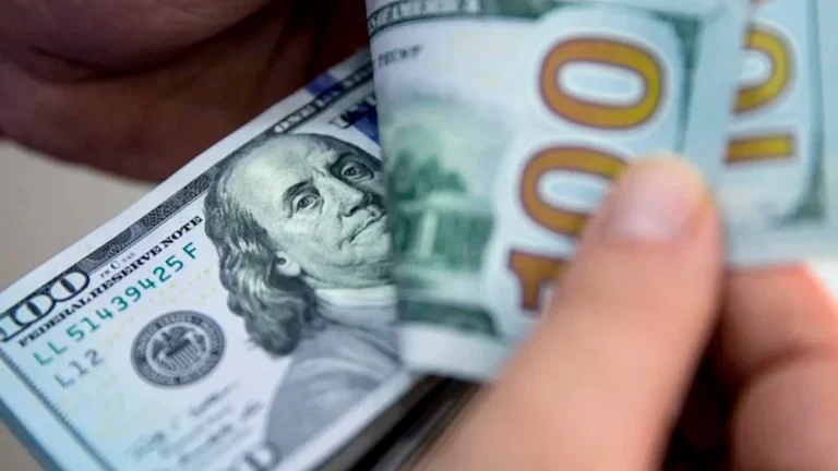 El dólar oficial subió $5 y cerró a $1.205 para la venta