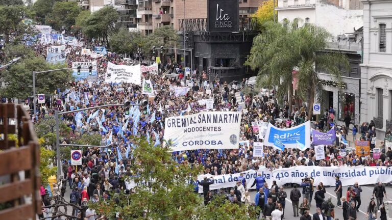 Gran convocatoria en la marcha universitaria de Córdoba