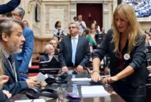 Durante la antesala del debate por la reforma laboral la diputada Carignano desenchufó micrófonos para interrumpir la sesión