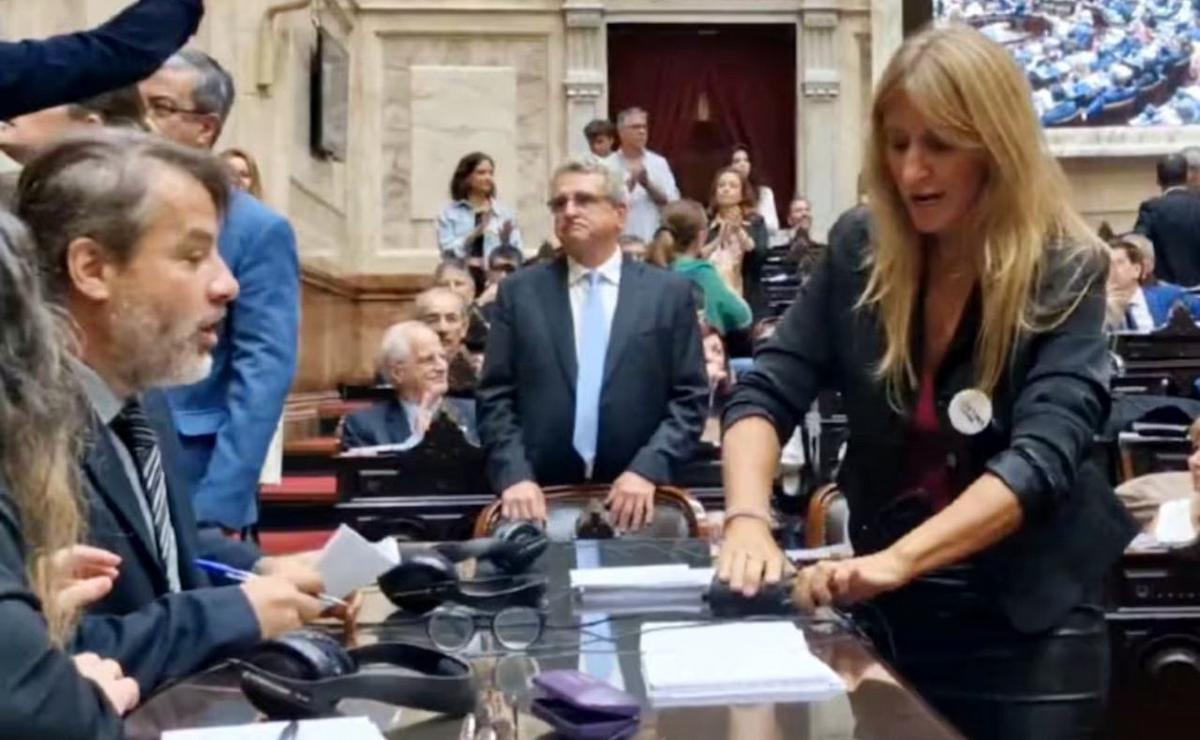 Durante la antesala del debate por la reforma laboral la diputada Carignano desenchufó micrófonos para interrumpir la sesión